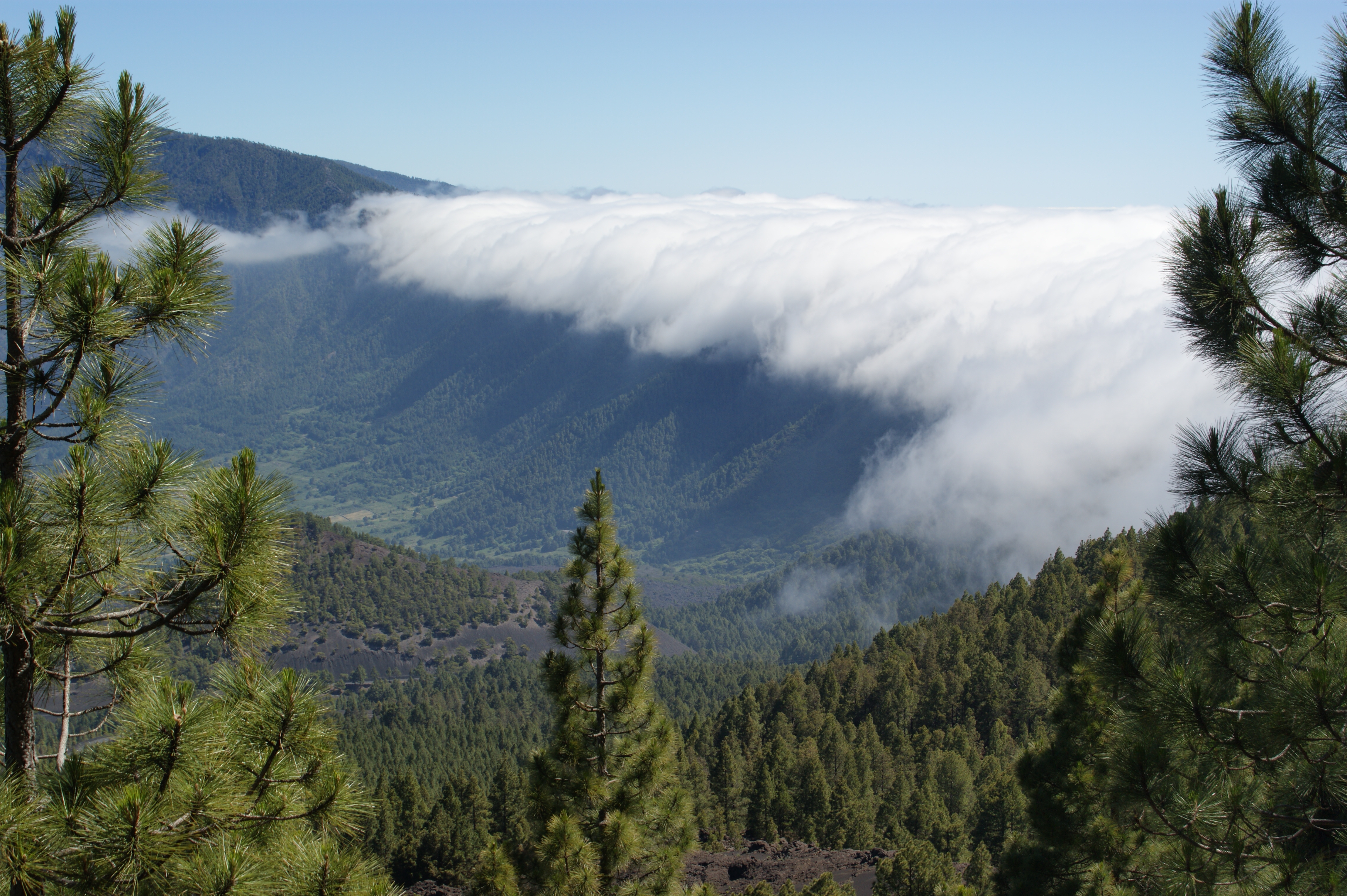 La Palma, La Isla Bonita